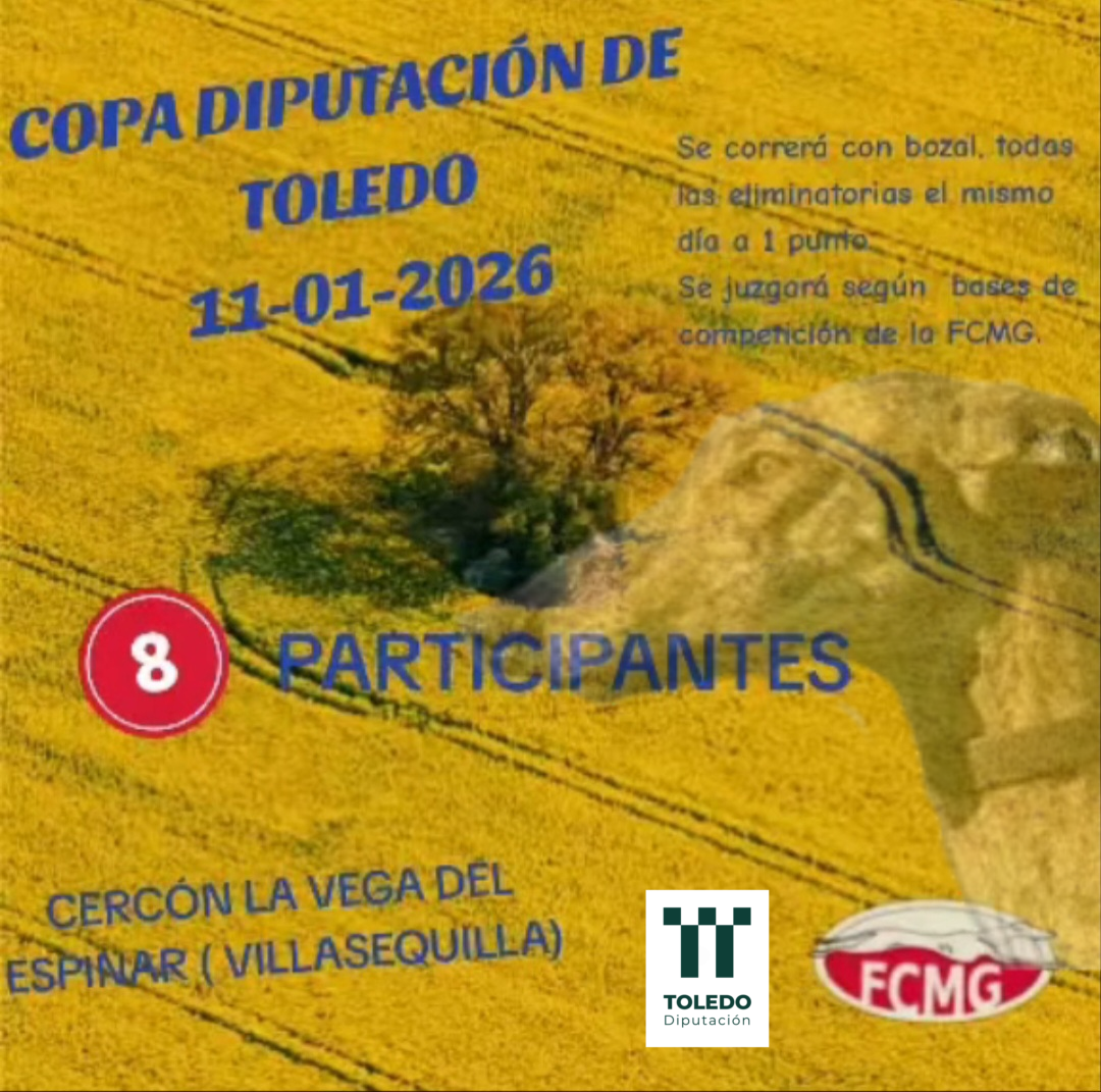 85 sin título_20260110101711.png
